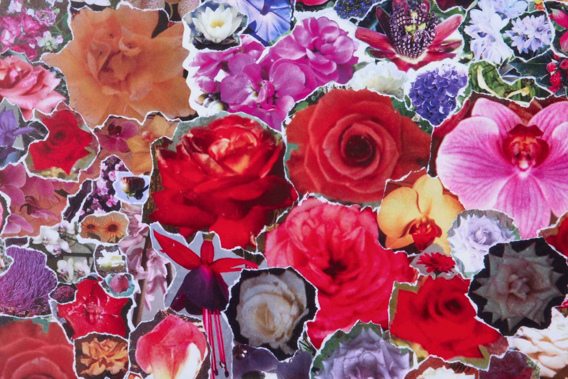 Hilda de Paulo, "Como vai você, Sr. Curador?", 2025. Instalação com oito fotografias (42,2 x 59,5 cm cada), 168,8 x 165 cm aprox. Registro fotográfico da obra por Estúdio em Obra.